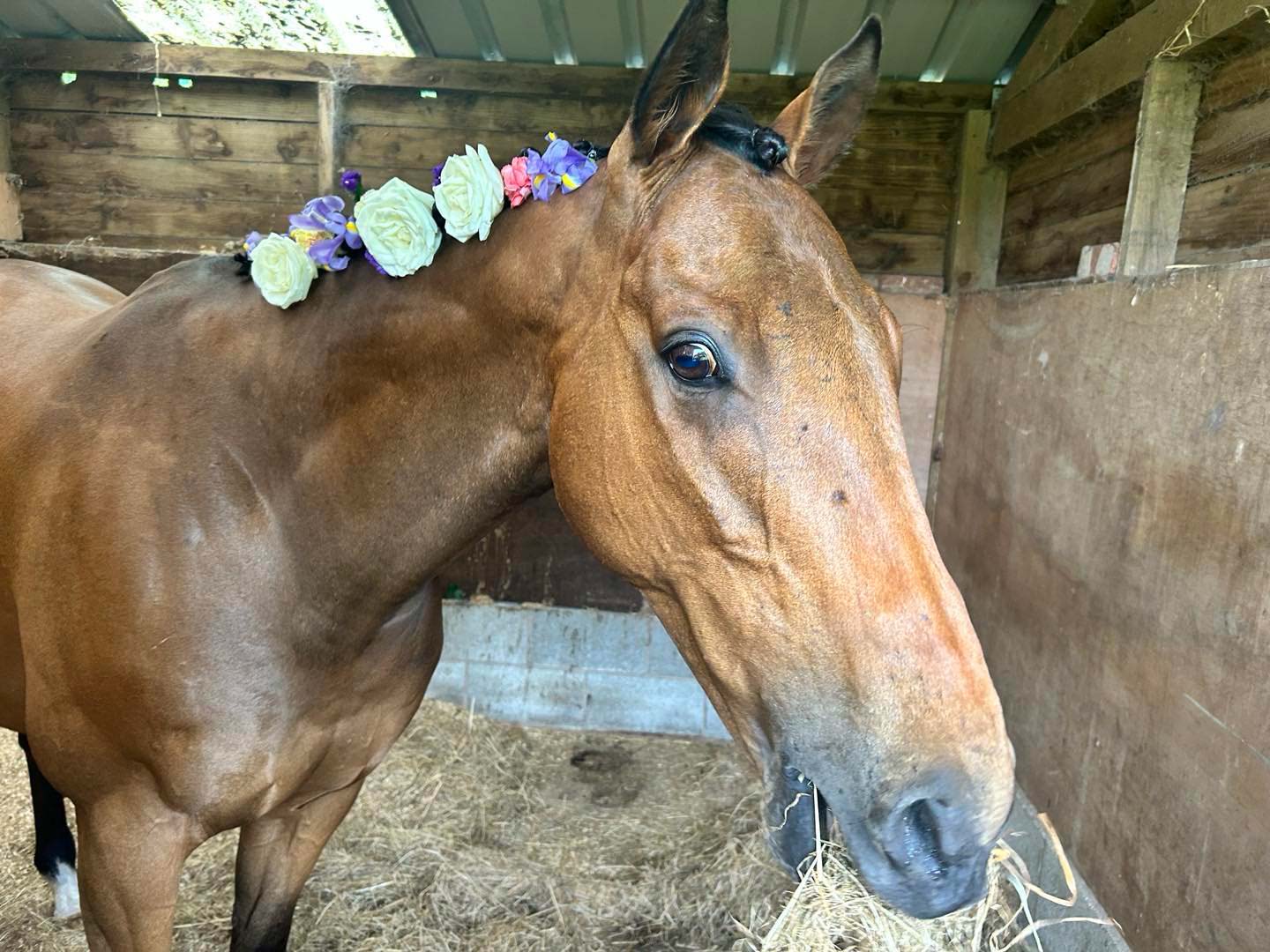 Oh Hugo you’re sooooo beautiful!